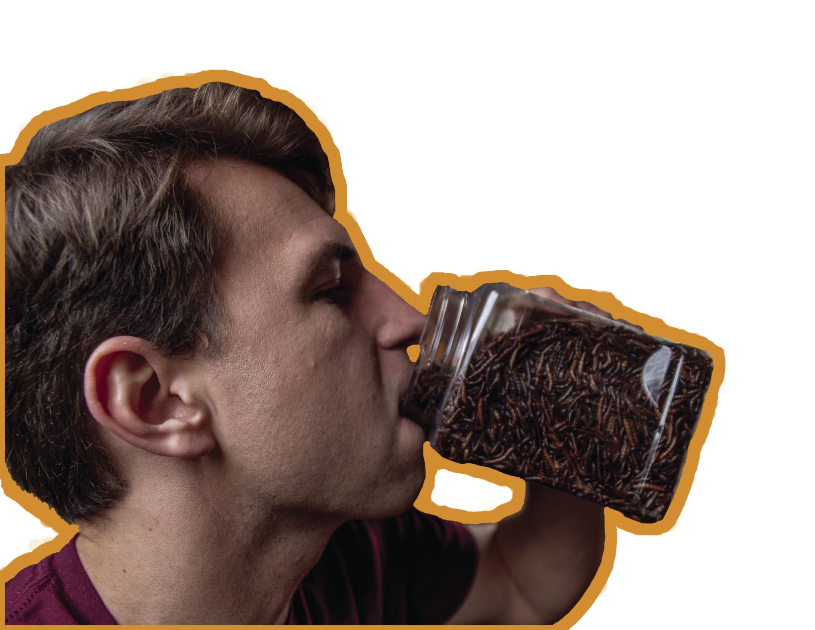coverpaul.png